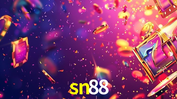 Programa VIP sn88